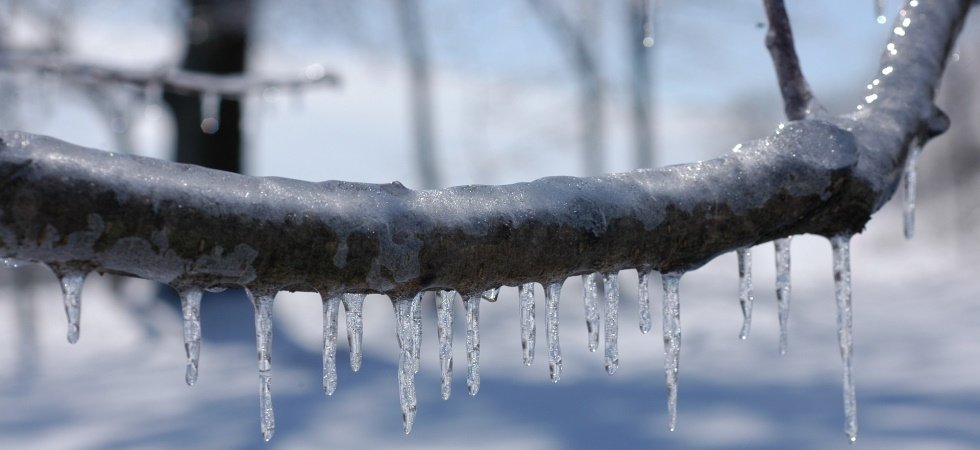 Premières gelées et températures négatives…les premiers jours du mois de décembre devraient être froids 