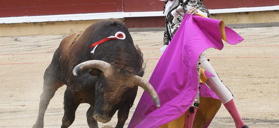¿Está a favor de prohibir las corridas de toros?