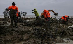 Charente-Maritime: nettoyer les parcs à huîtres pour réduire la pollution plastique