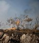 L'incendie dans la forêt de Brocéliande "contenu aux deux tiers"