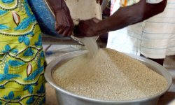 Burkina: plus de 2 millions de personnes menacées par la crise alimentaire