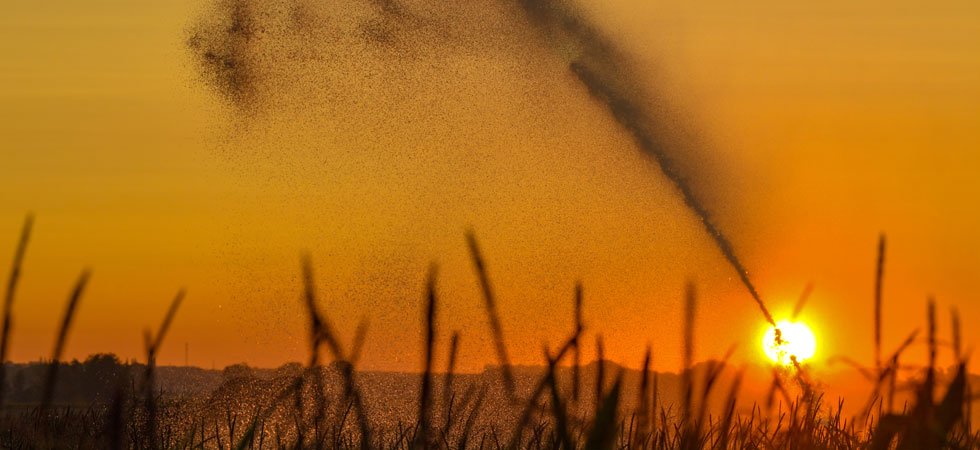 Climat : pour les experts de l'ONU "notre utilisation des terres n'est pas soutenable"