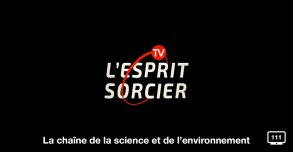 L'Esprit Sorcier TV